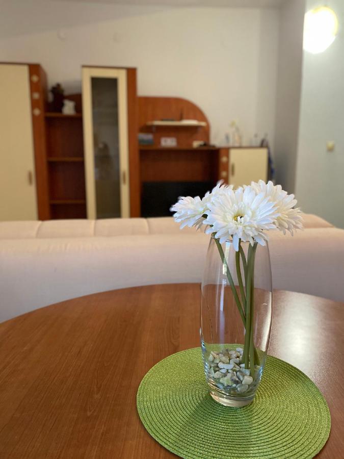 Apartments Mandarina Garden Petrovac ภายนอก รูปภาพ